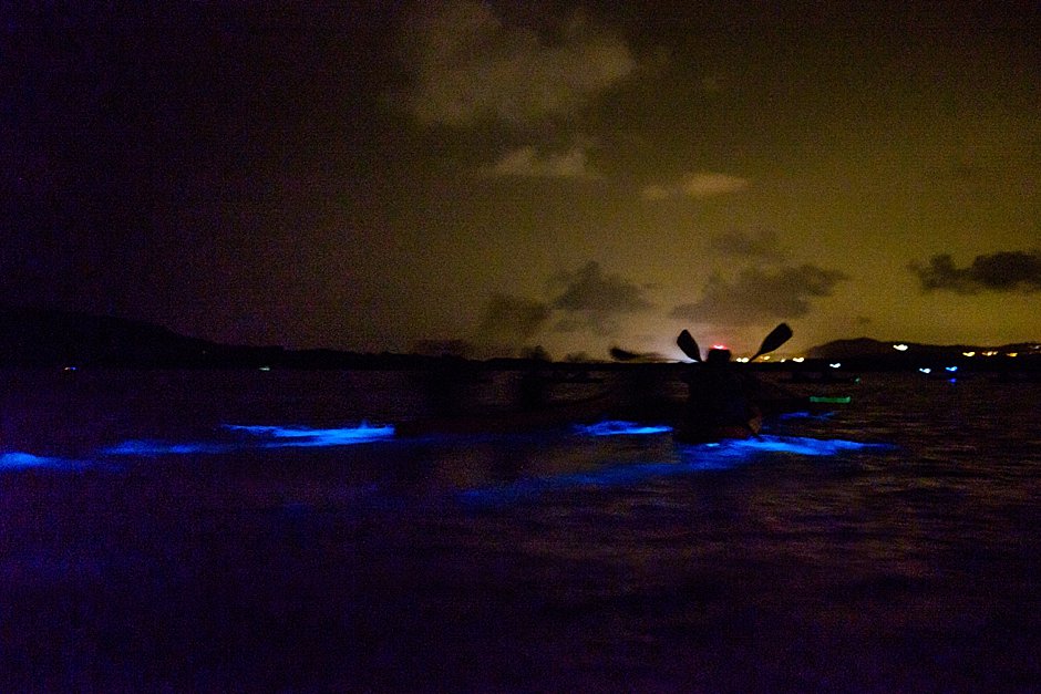 Bioluminescent Bay