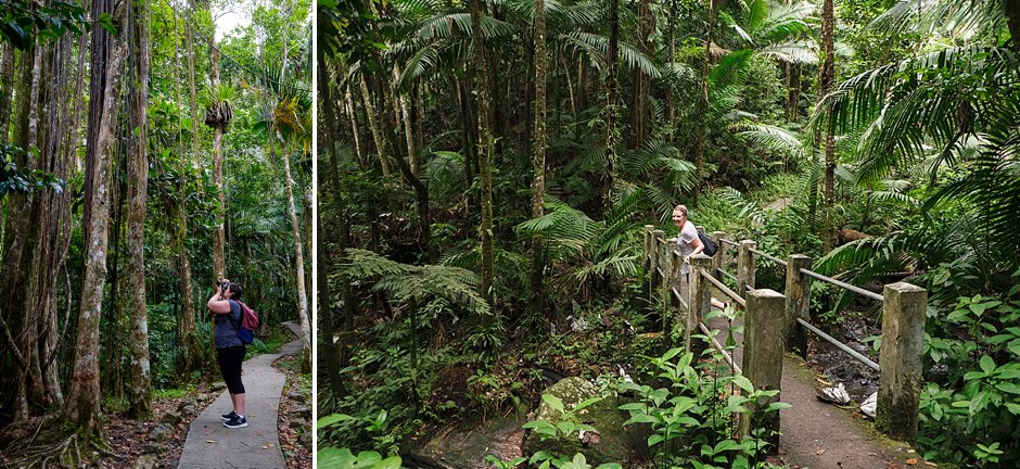 Puerto Rico Trip El Yunque Rain Forest