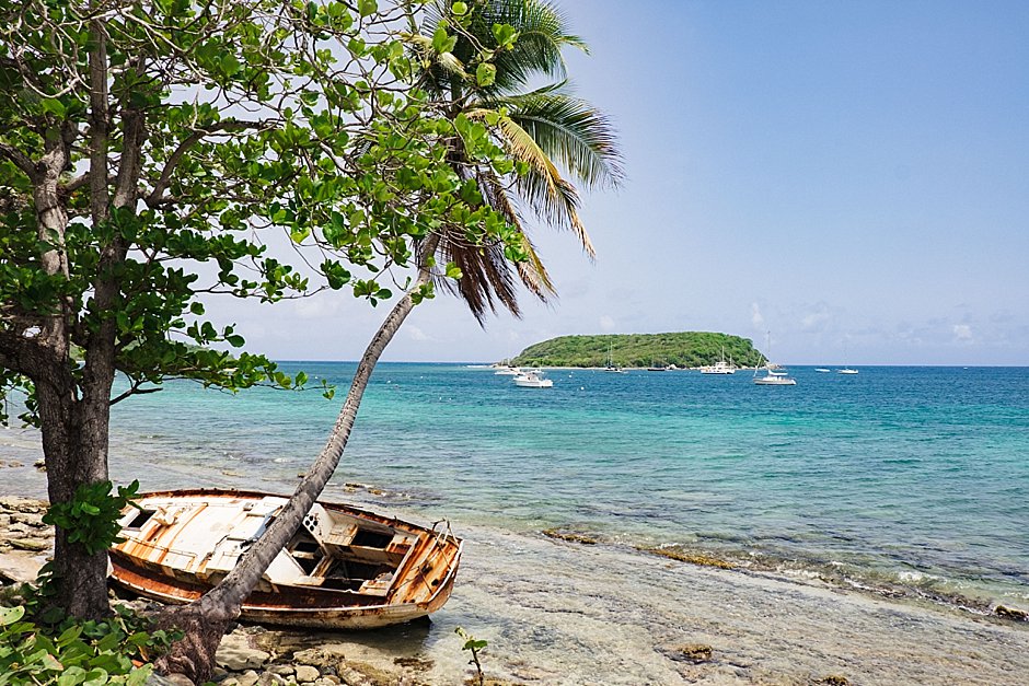 How to create an amazing bioluminescent bay experience on Vieques