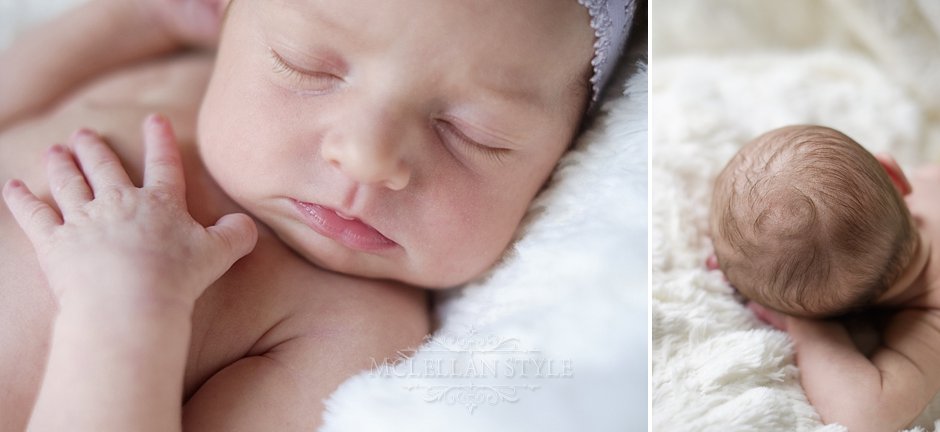 Franklin Newborn Photographer