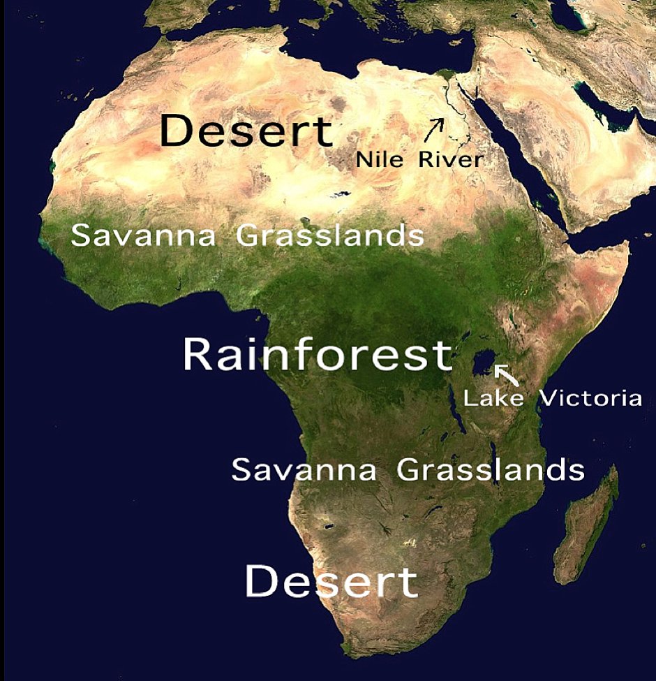 Map Of Africa Web 