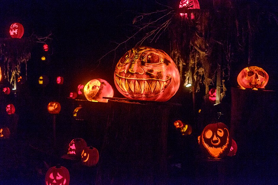 Louisville_Jackolantern_Spectacular